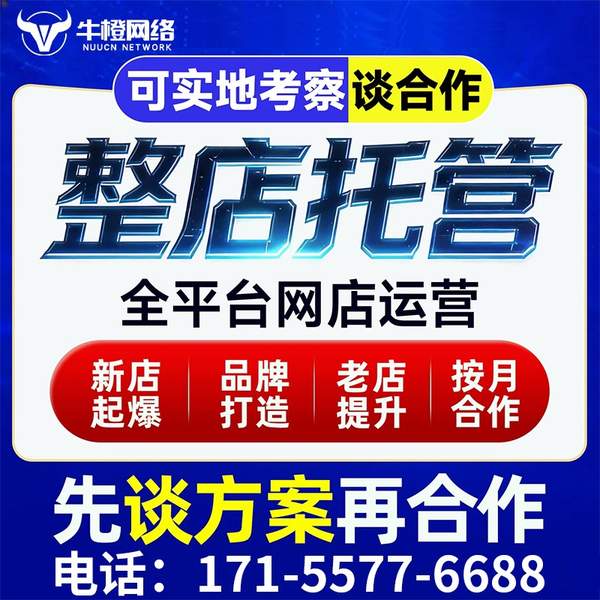 嘉峪关电商代运营