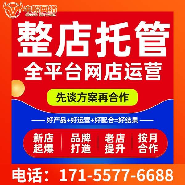 嘉峪关电商代运营