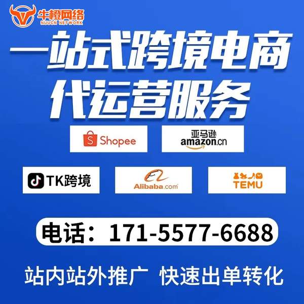 嘉峪关电商代运营